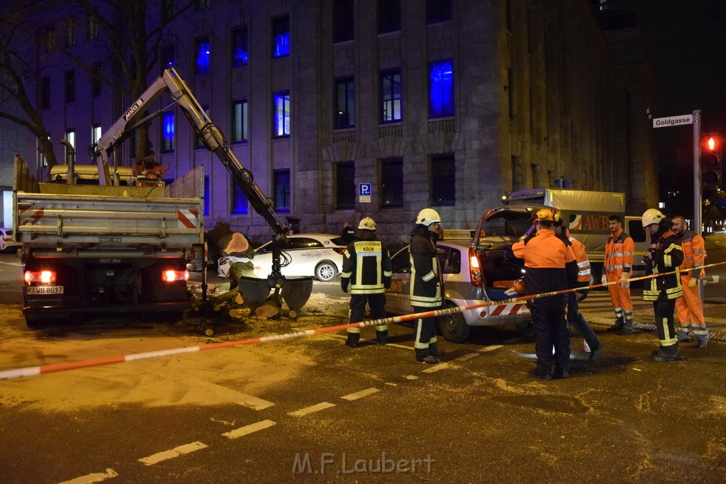 Baum auf PKWs Koeln Mitte Rheinuferstr Goldgasse P059.JPG - Miklos Laubert